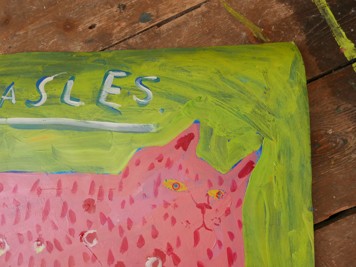 Cat Measles