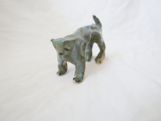 Sad Wonky Grey Cat