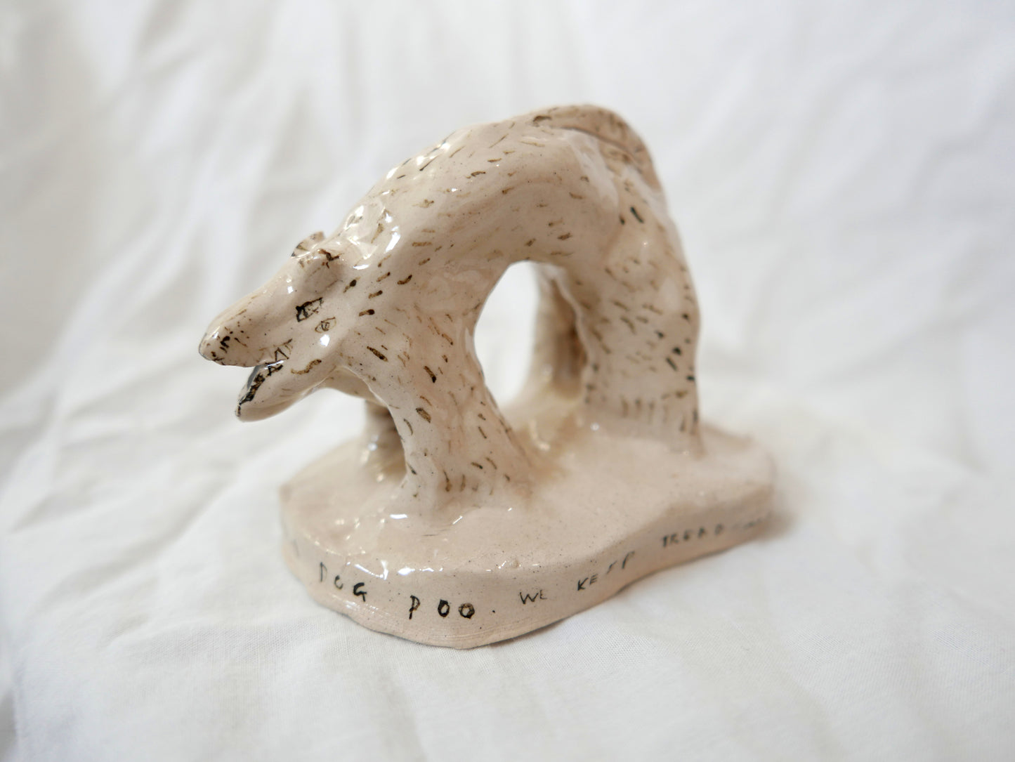 Please pick up your dog poo we keep treading in it