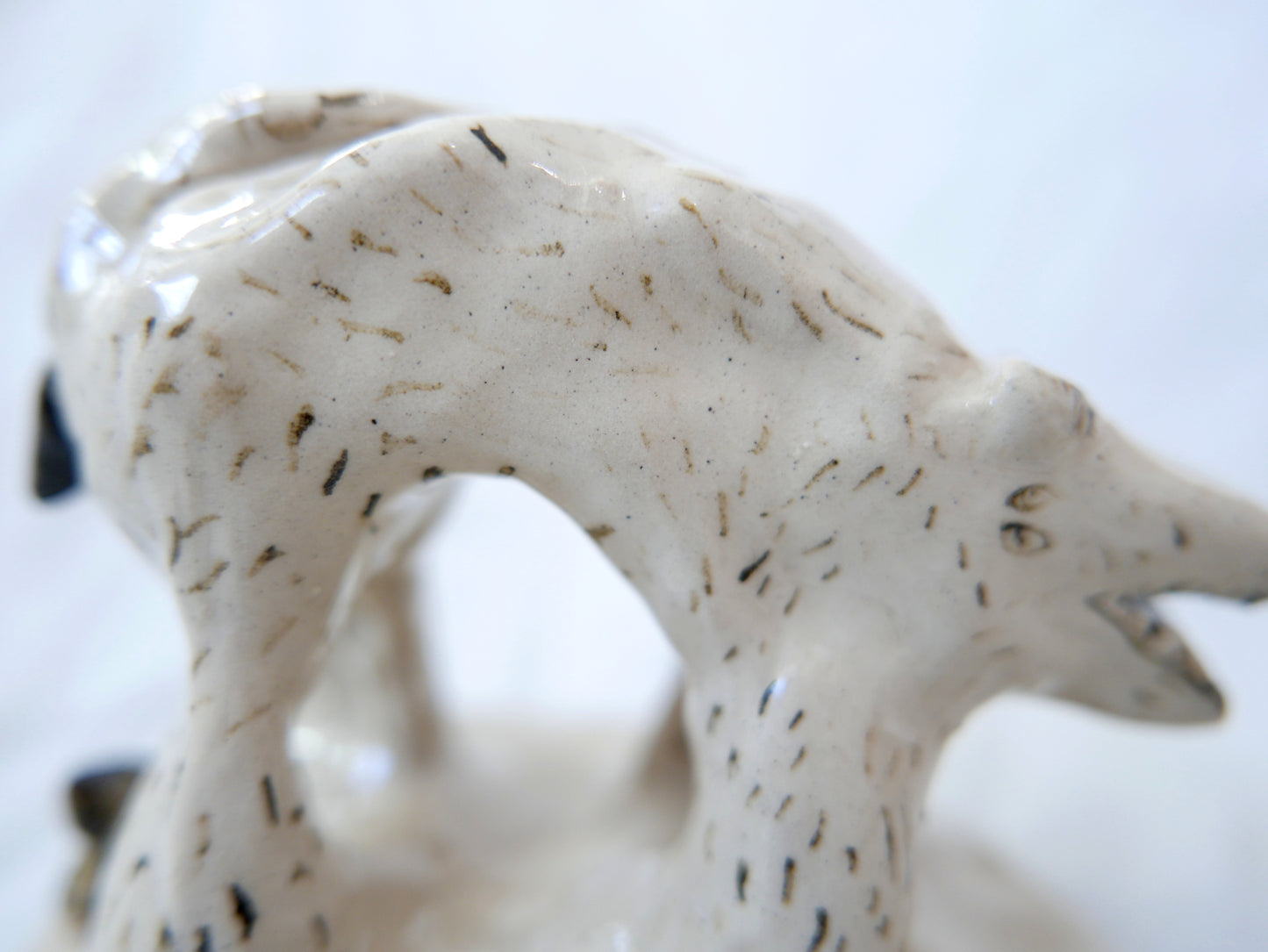 Please pick up your dog poo we keep treading in it