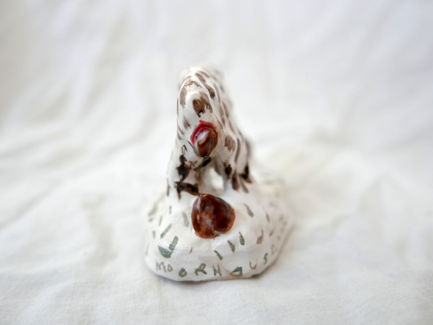 Cat Poo The Worst of All Poo