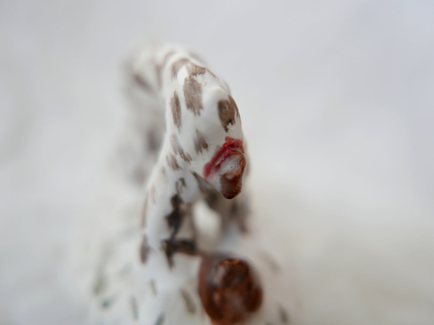 Cat Poo The Worst of All Poo