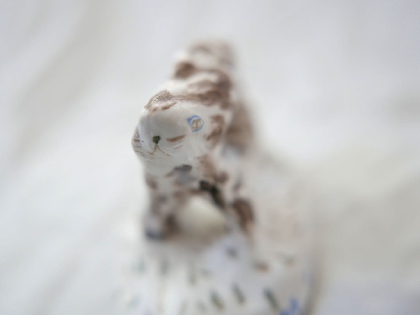 Cat Poo The Worst of All Poo