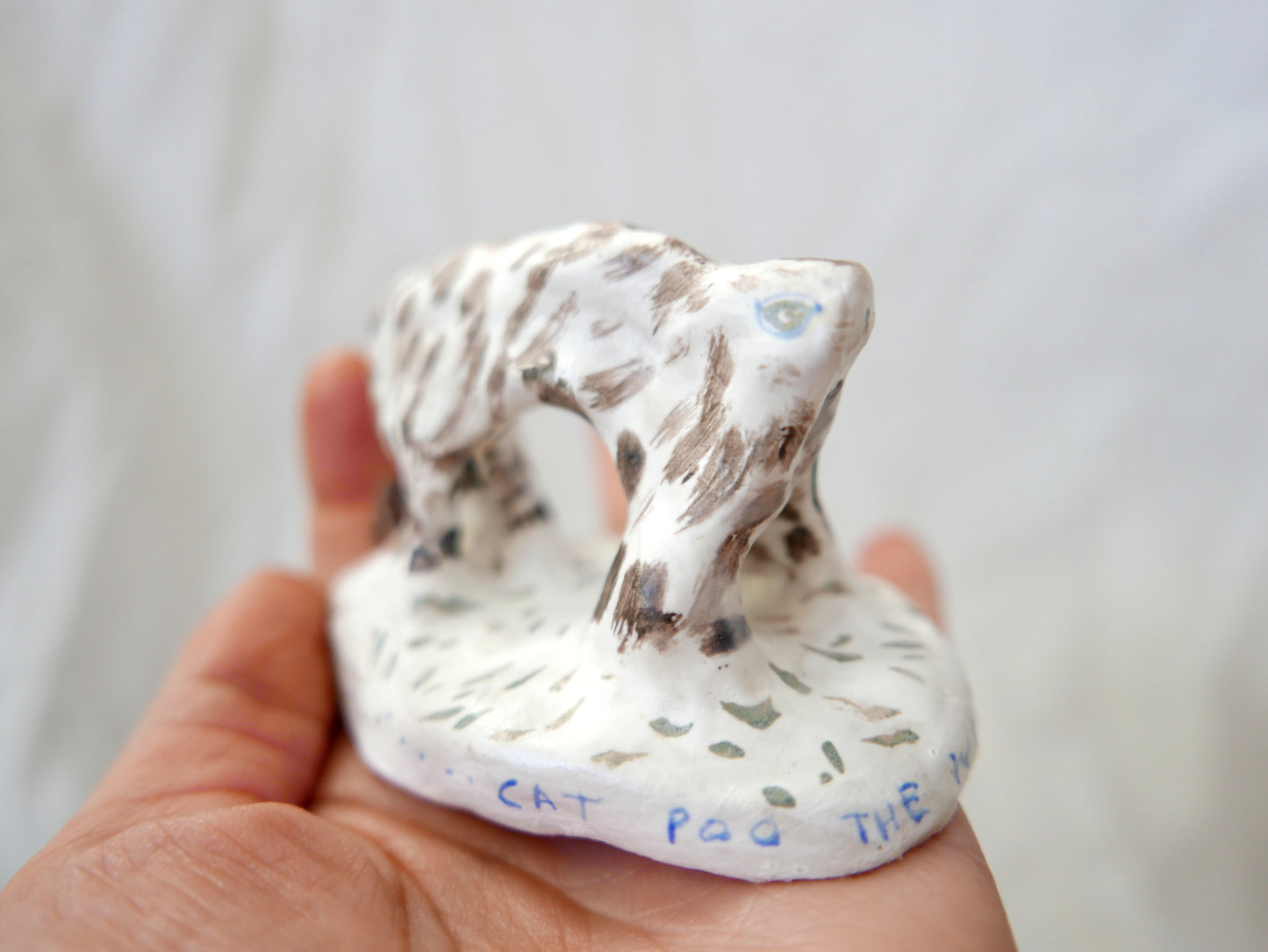 Cat Poo The Worst of All Poo