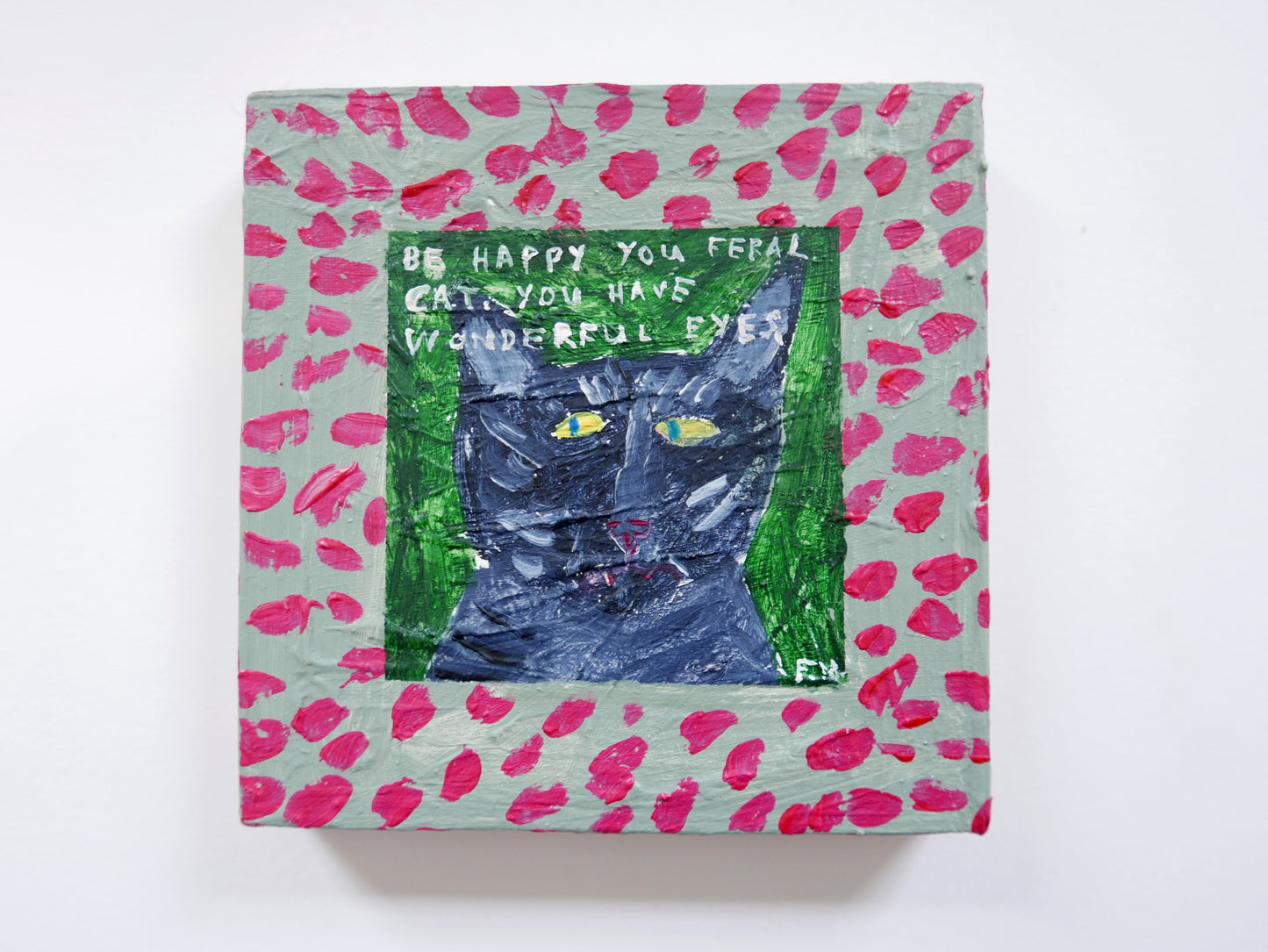 Be happy you feral cat. You have wonderful eyes