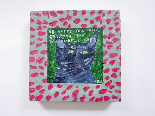 Be happy you feral cat. You have wonderful eyes