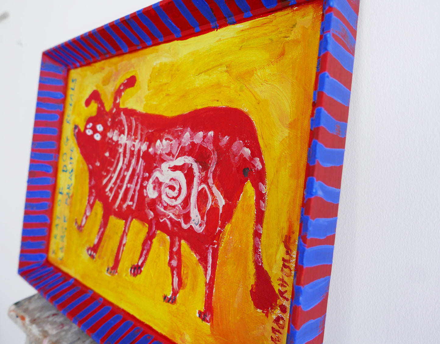 X-ray of dog reveals large parasite