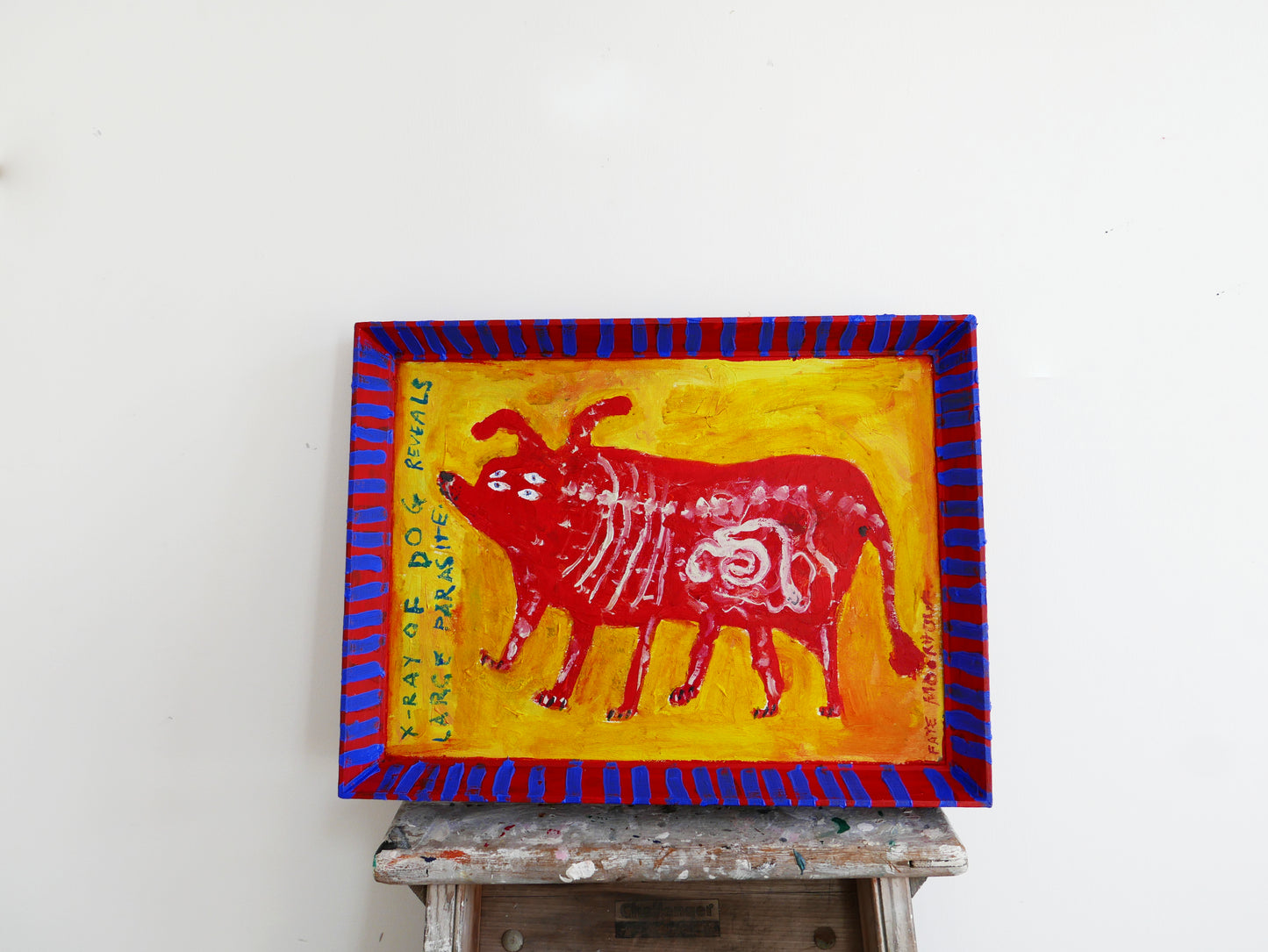 X-ray of dog reveals large parasite