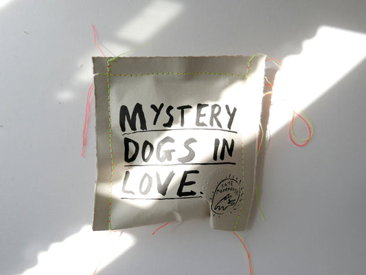 Mystery Dogs in Love