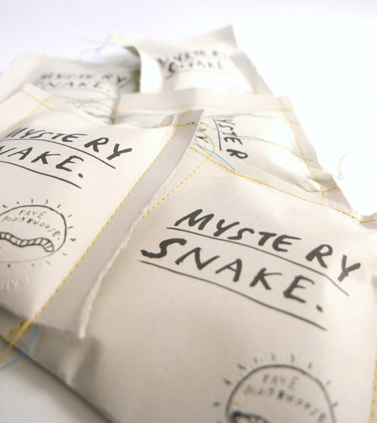 Mystery Snake