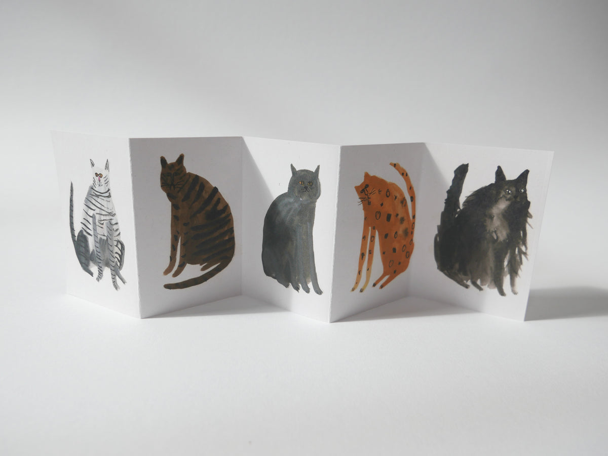 Concertina Zine - Five Curious Cats