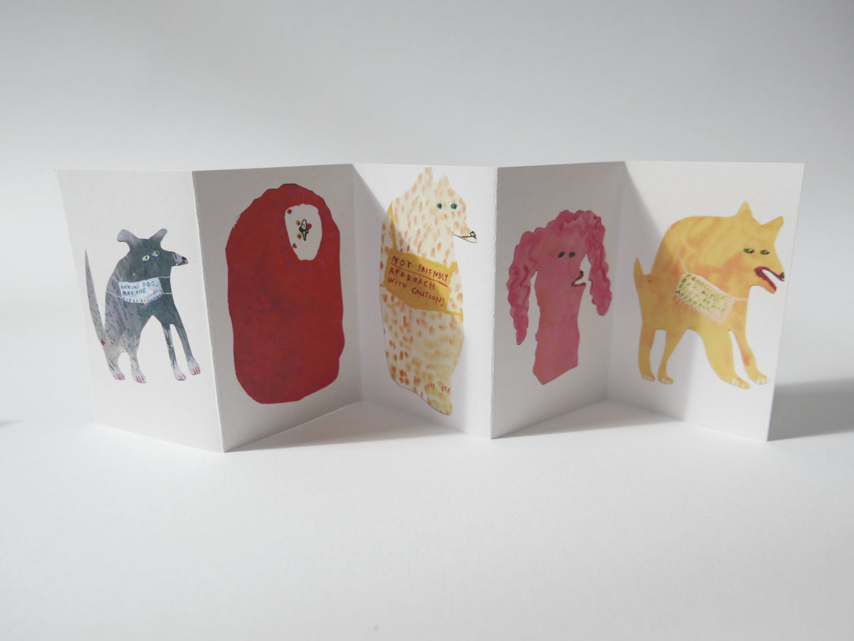 Concertina Zine - Emotional Dogs