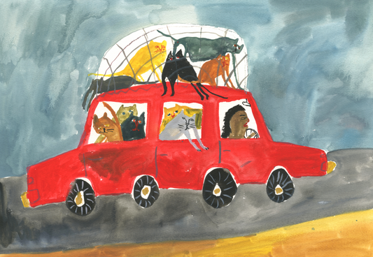 Women and their Cats - Car Cats