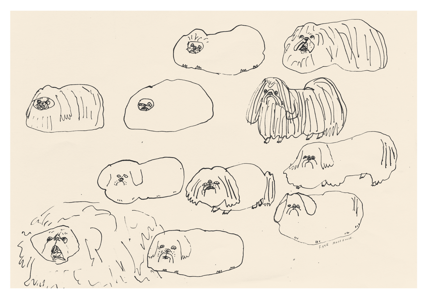 A Sad Pekingese Party