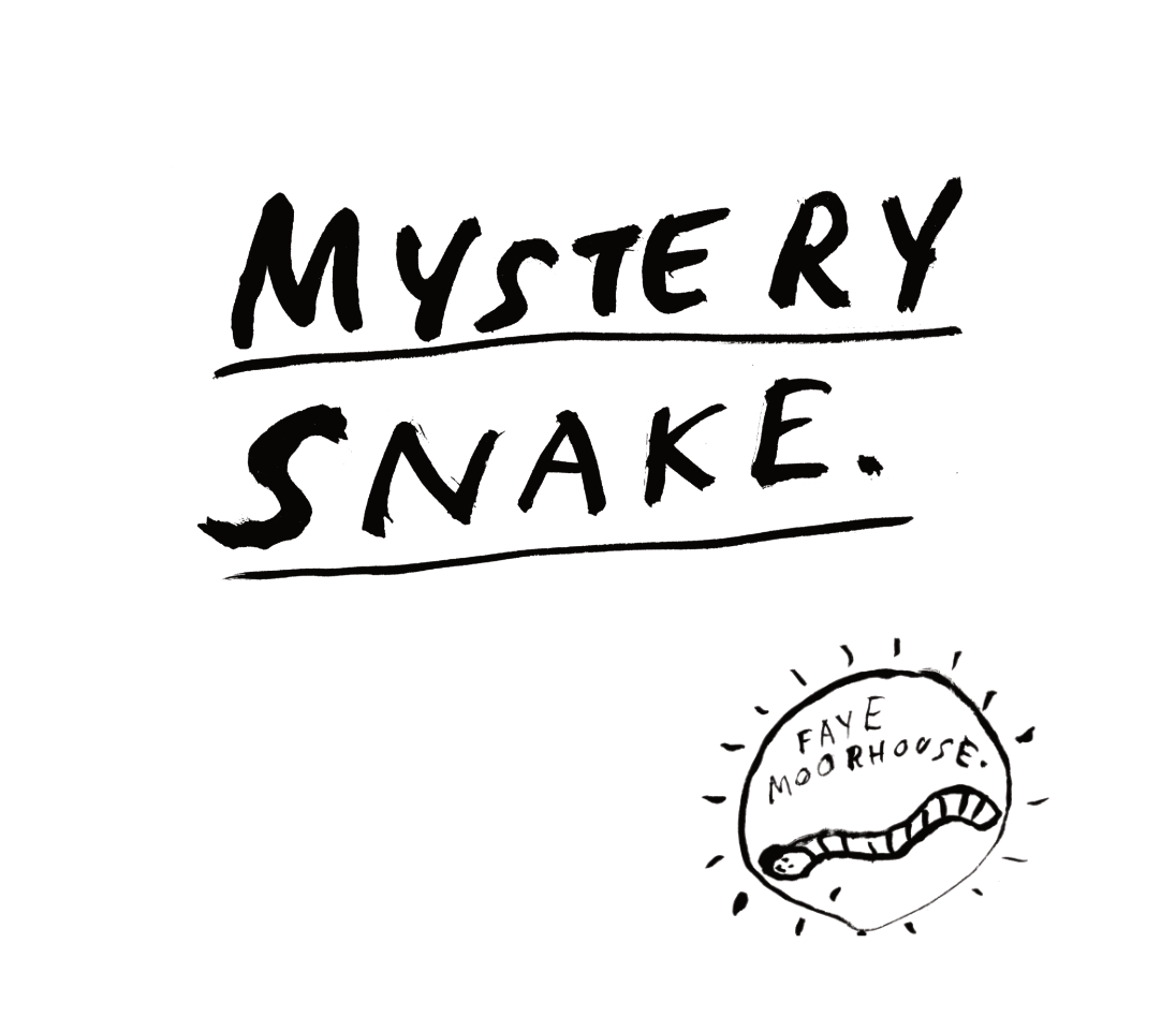 Mystery Snake
