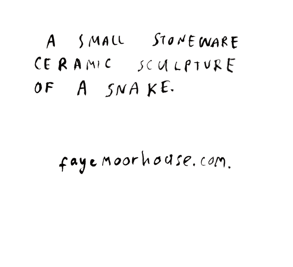 Mystery Snake