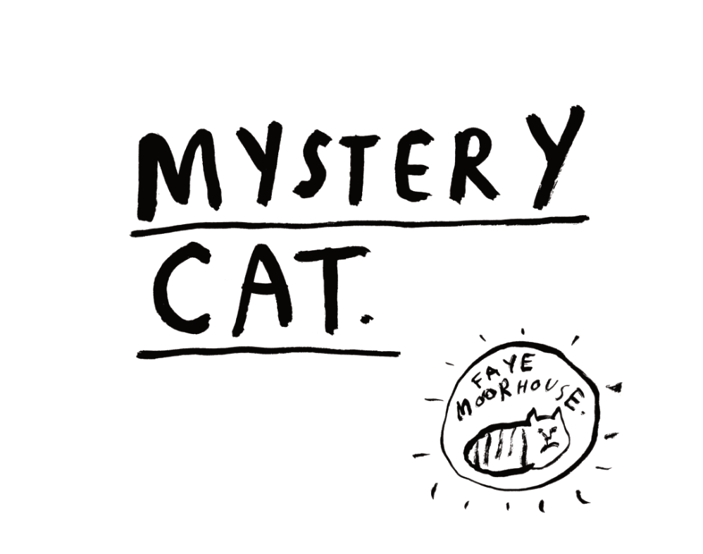 Mystery Cat