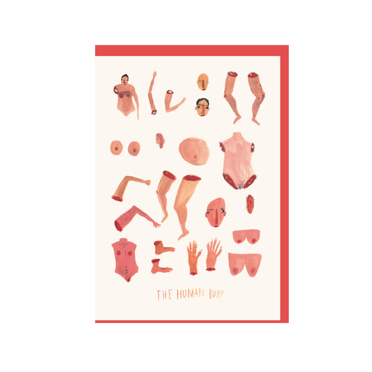 The Human Body