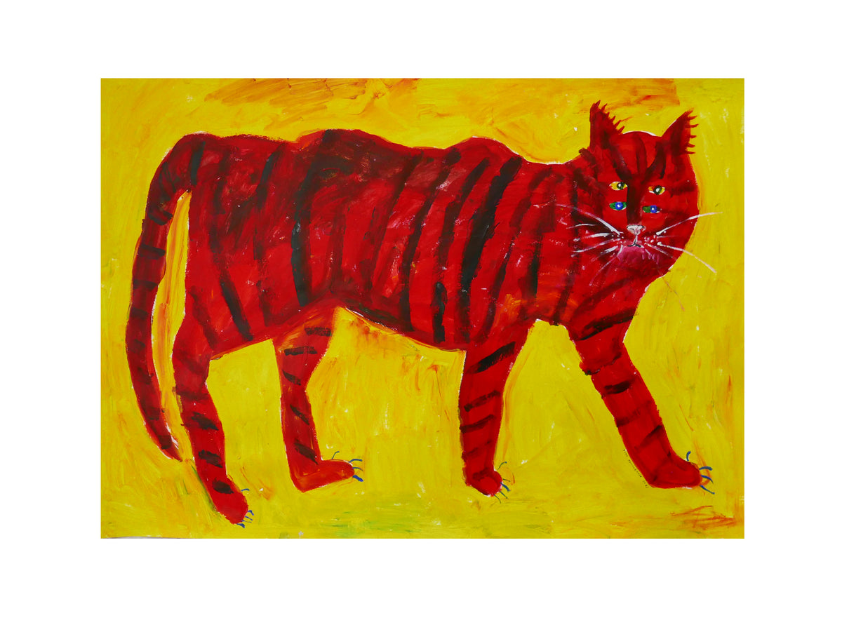 Exotic House Cat