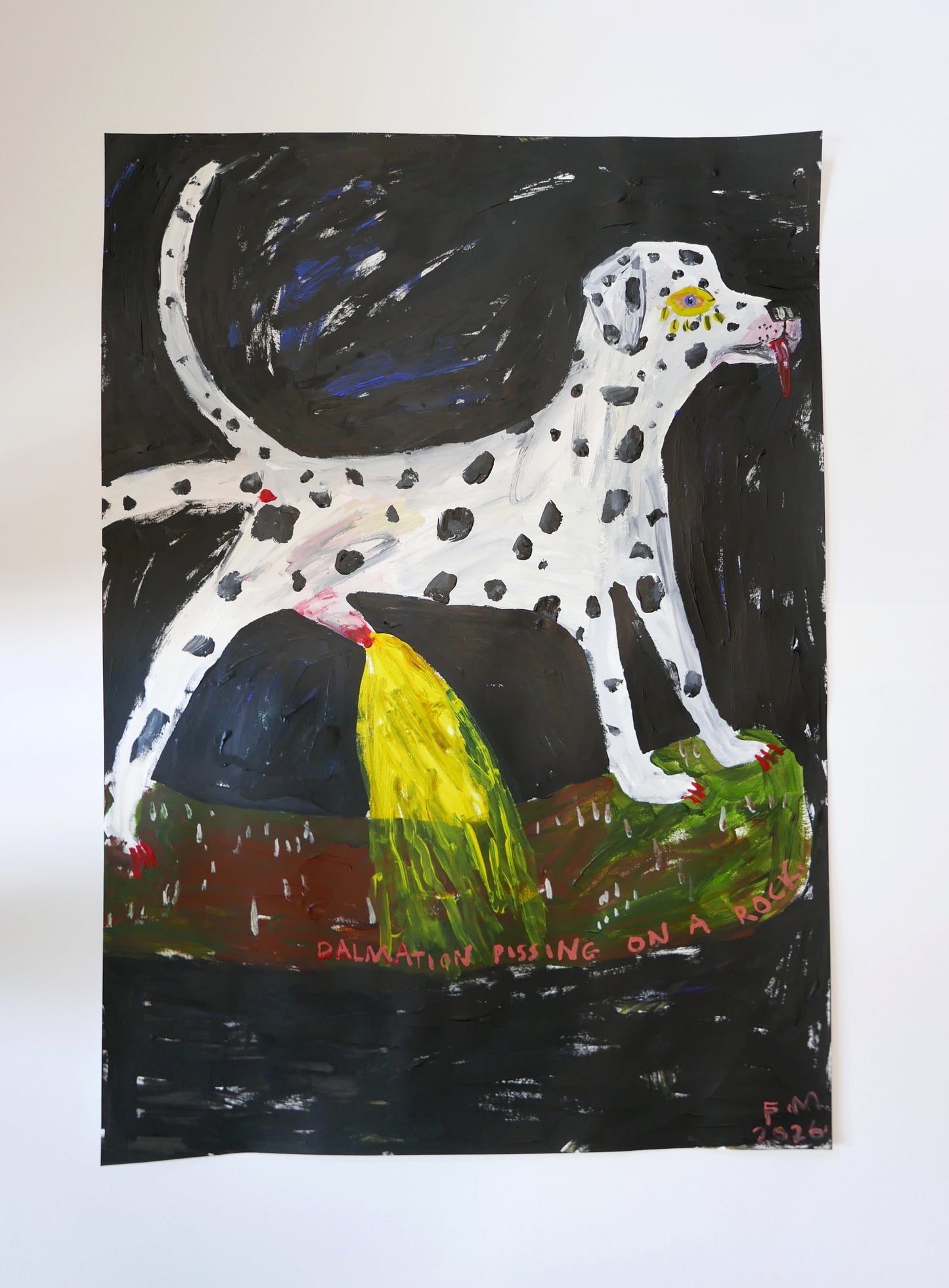 Dalmatian Pissing on a Rock