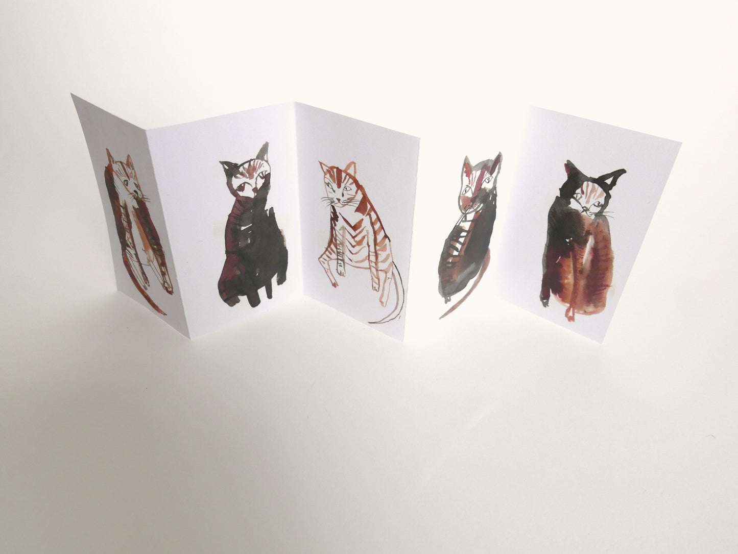 FIVE CURIOUS CATS