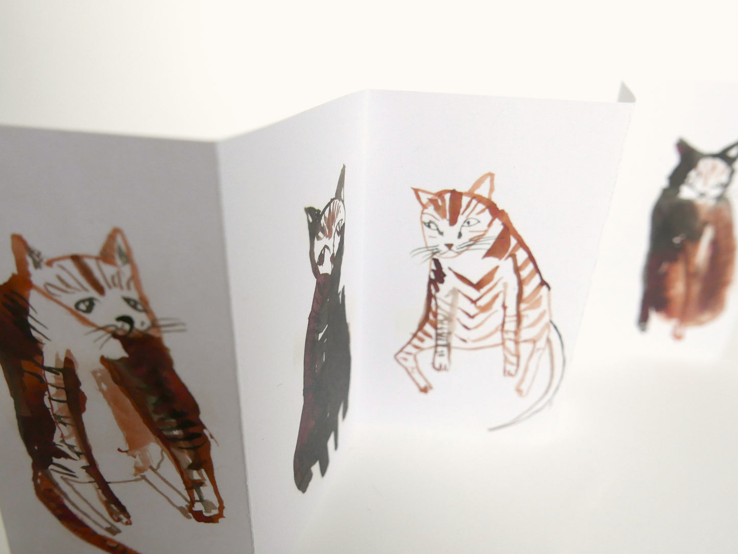 FIVE CURIOUS CATS