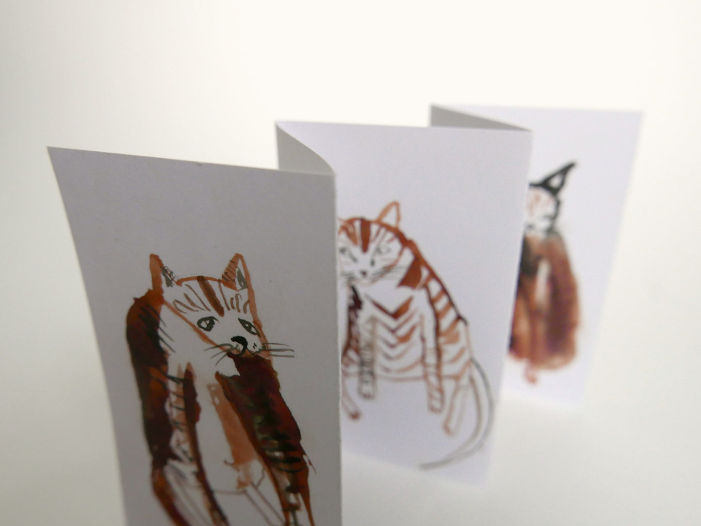 FIVE CURIOUS CATS