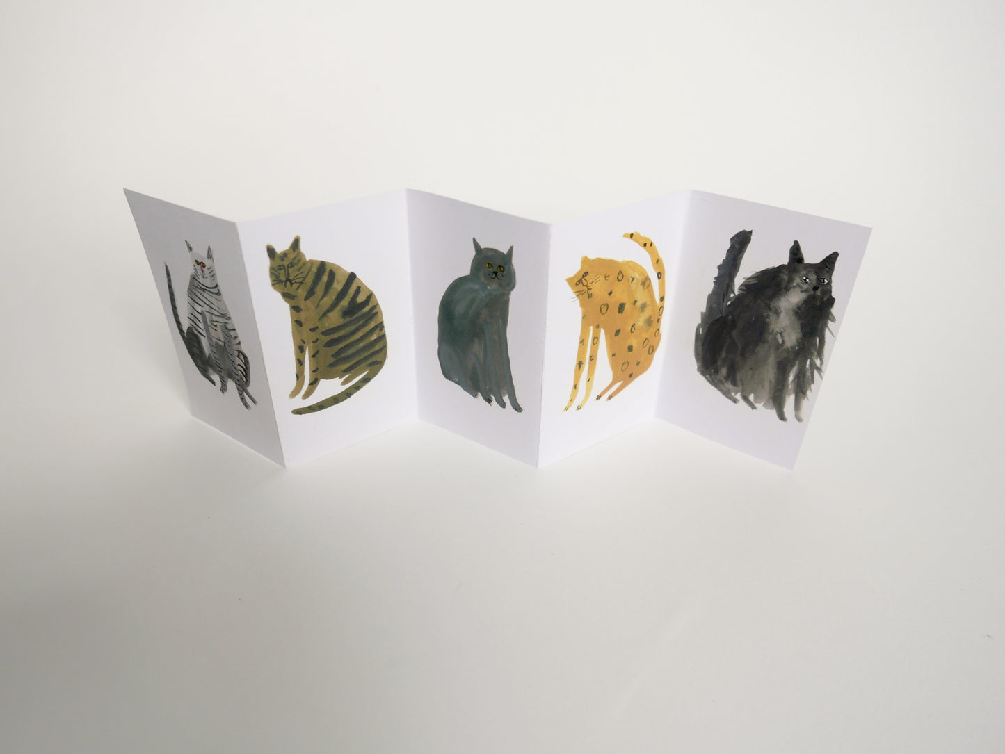 Five MORE Curious Cats