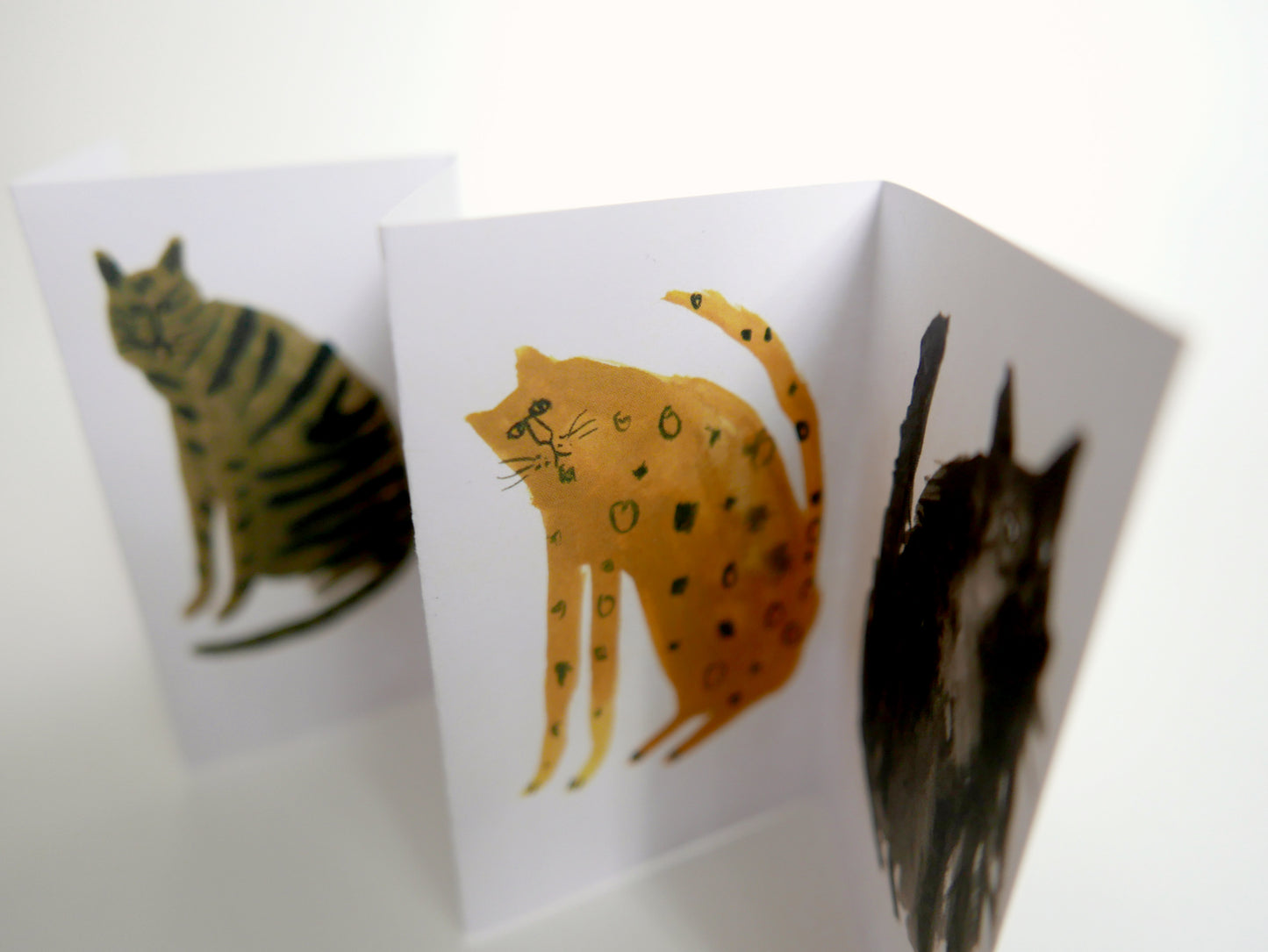 Five MORE Curious Cats
