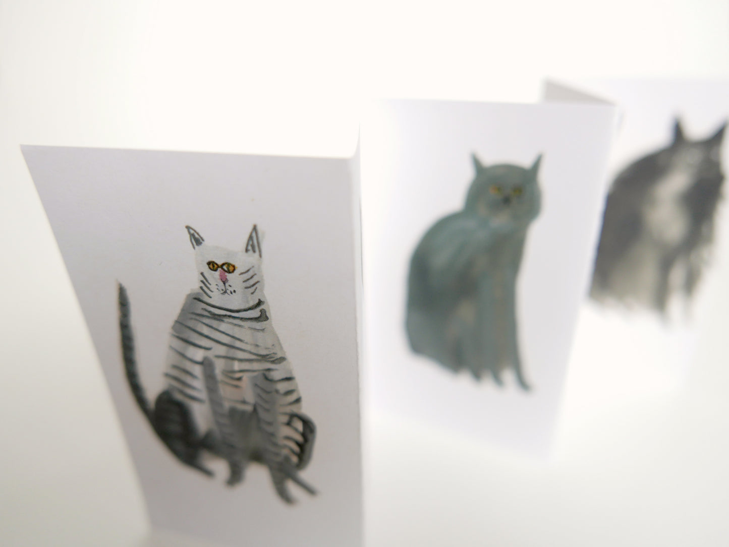 Five MORE Curious Cats
