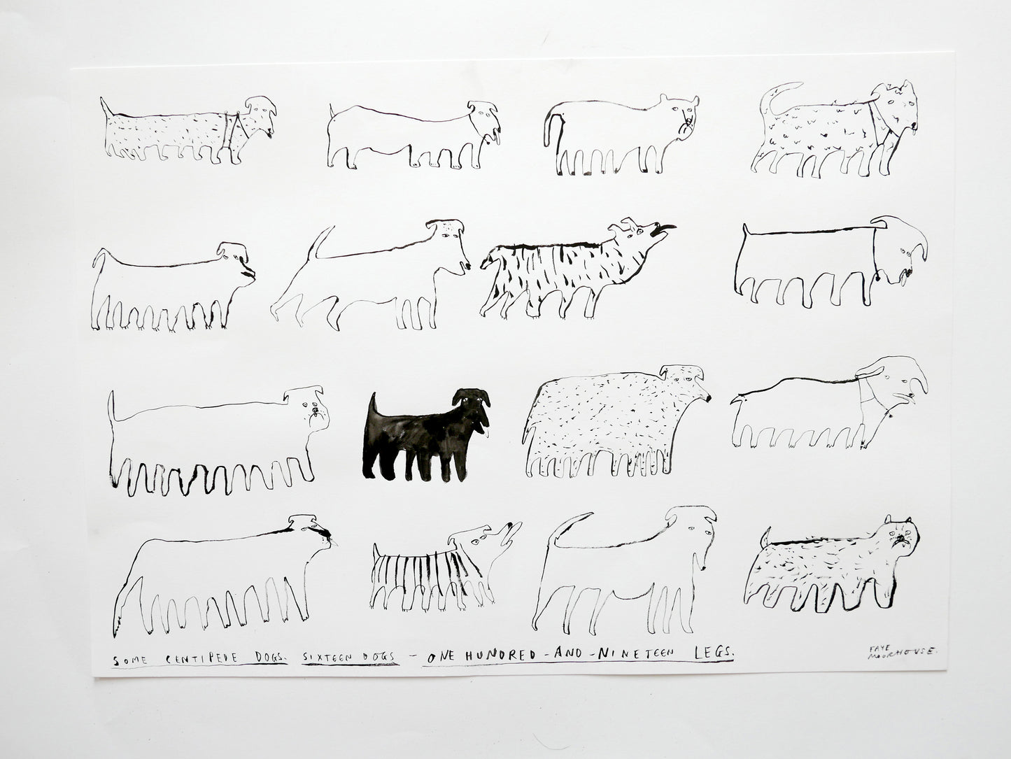 Centipede Dogs