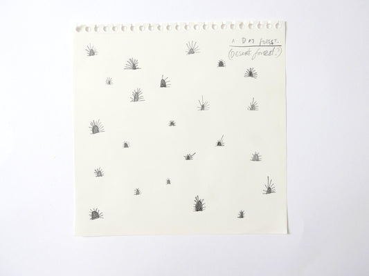 A Dry Forest