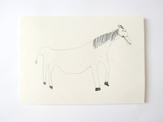 A Donkey