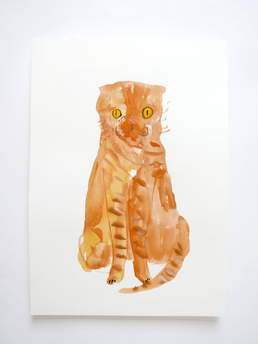 Ginger Cat