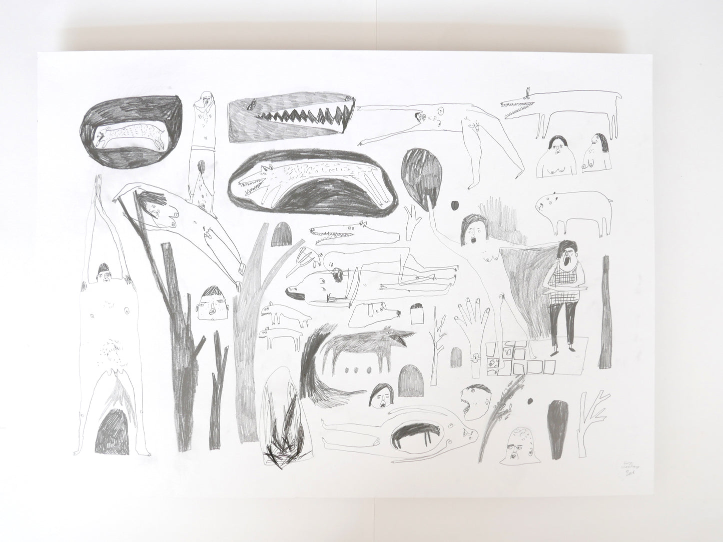 A Muddle in the Jungle