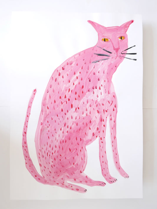 Pink Cat