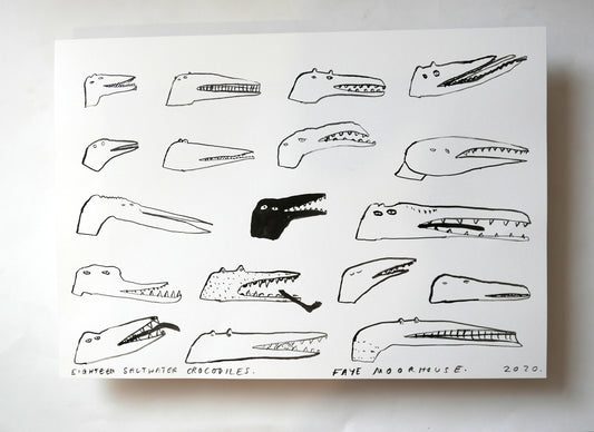 Eighteen Saltwater Crocodiles