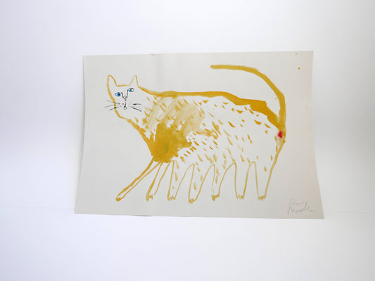 Yellow Hairy Cat Sore Bum