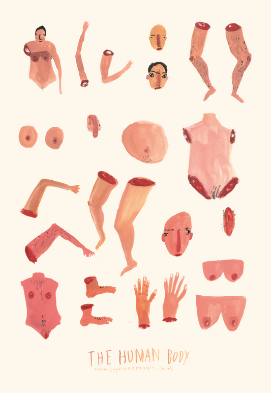 The Human Body