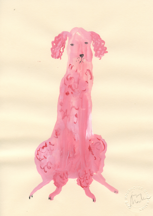 A Small Pink Poodle
