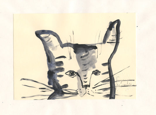 A Wonky Drawing