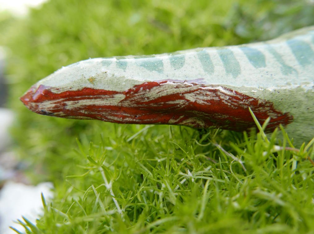 Ceramic Crocodile | Original Faye Moorhouse Pottery | Free International Shipping