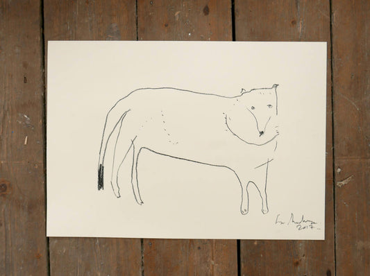 WOLF | Original Charcoal Drawing | Faye Moorhouse