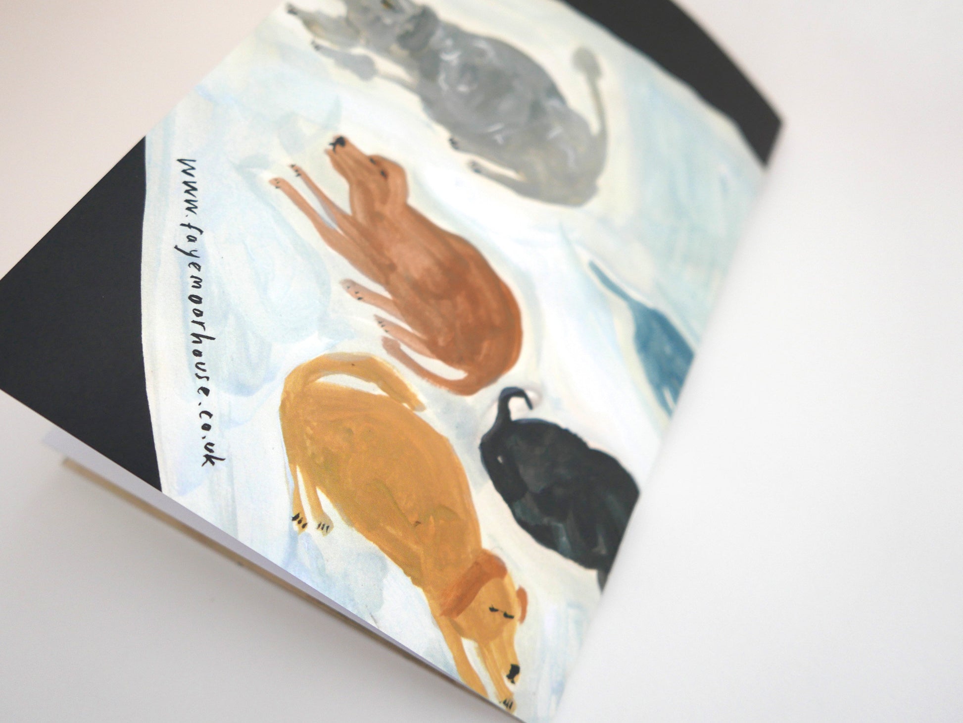 Women and their Dogs | Faye Moorhouse | A Zine