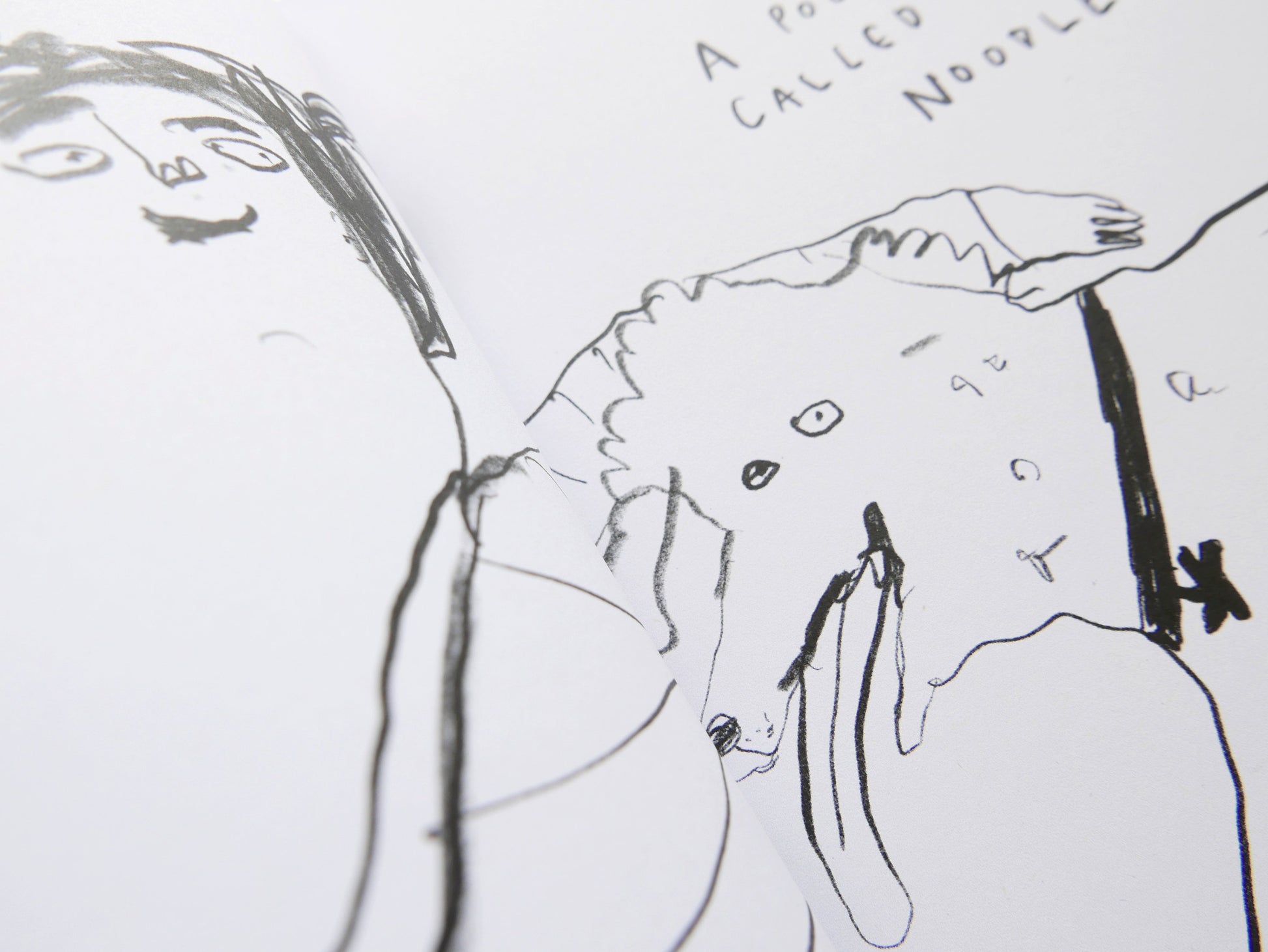 NOODLES - Limited Edition Comic Illustrated Zine by Faye Moorhouse