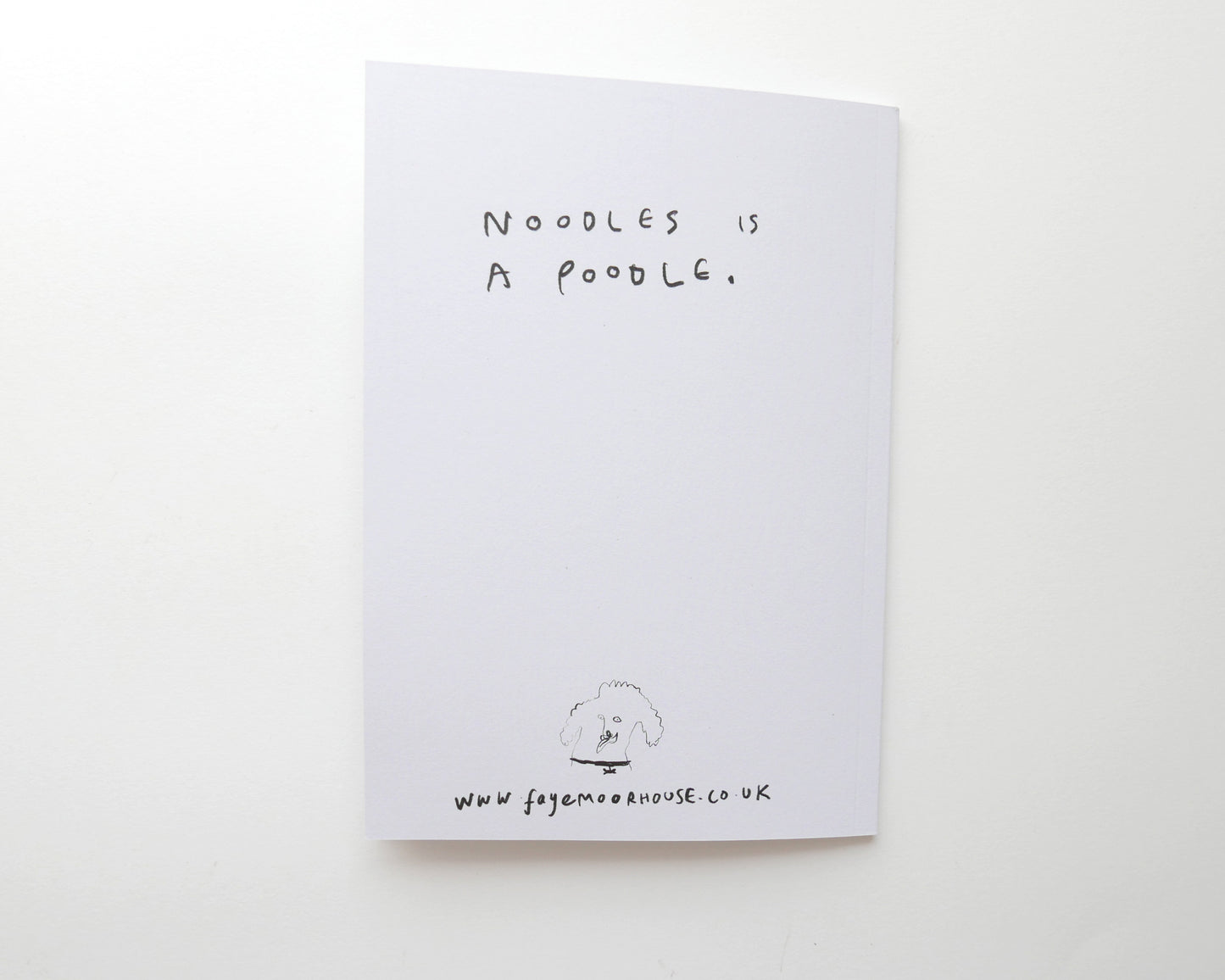 NOODLES - Limited Edition Comic Illustrated Zine by Faye Moorhouse