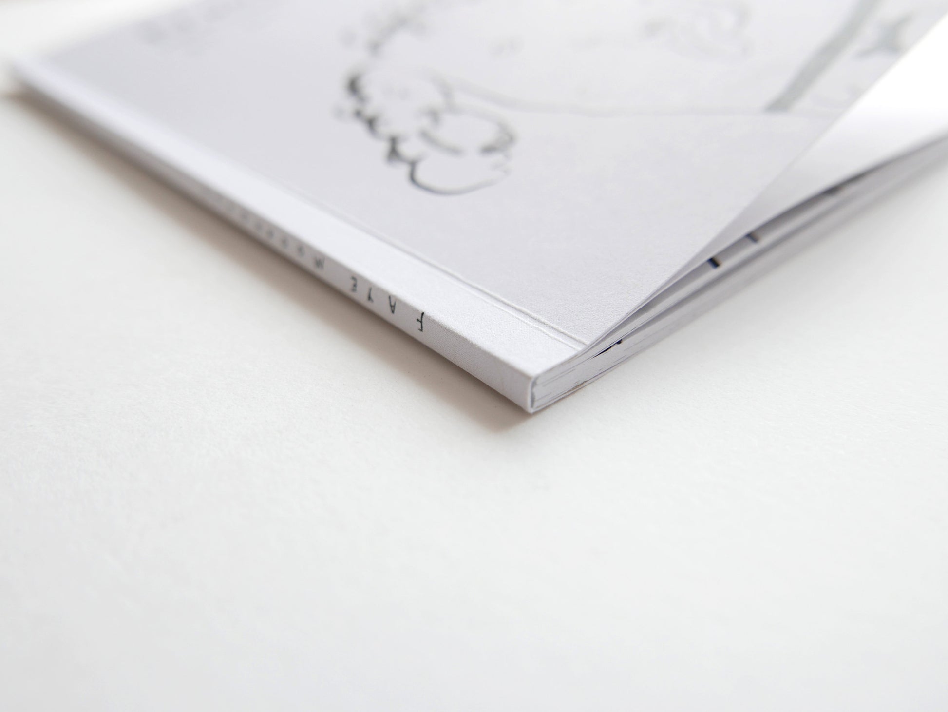 NOODLES - Limited Edition Comic Illustrated Zine by Faye Moorhouse
