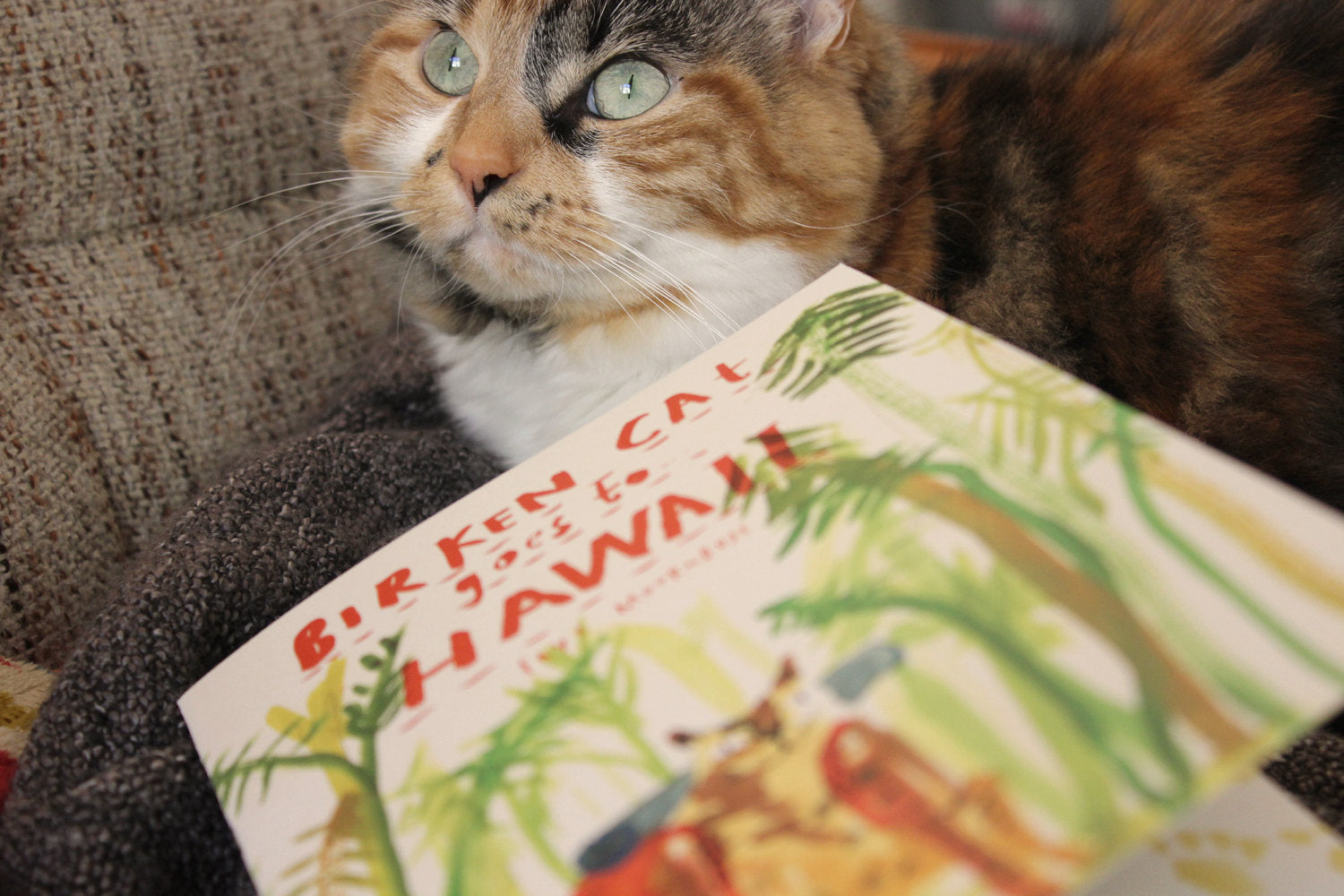 Picture Book / Illustrated Zine - Birken Cat Goes to ... Hawaii