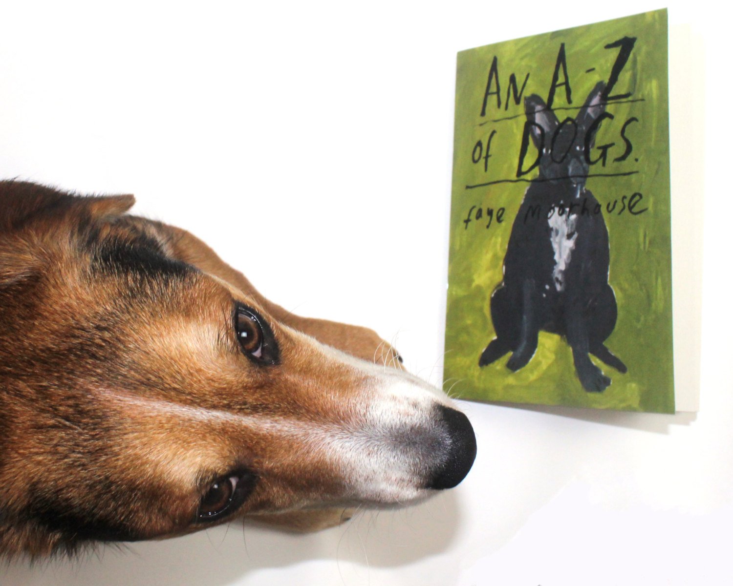 Zine / Picture Book - AN A-Z OF DOGS - Second Edition